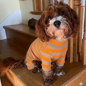 Little Beast Peanut Butter Dog One-Piece Onsie Sweater Shirt Stripes